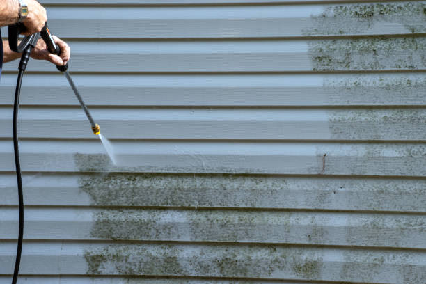 Best Stone Veneer Siding  in Henderson, NC