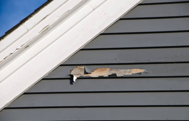 Best Siding for New Construction  in Henderson, NC